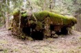 /album/opevneni-na-rokytnicku/a37-jpg1/